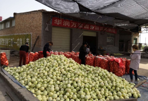 助农扶贫，华润万家为阎良甜瓜直播带货