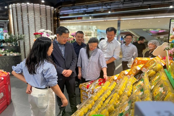 华润集团副总经理蓝屹到华润万家广州门店调研