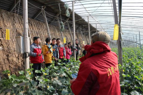 华润万家启动“3·15”活动 邀媒体进基地溯源食品安全