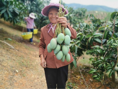从田间地头到门店餐桌，华润万家农超对接开启扶贫“新路子”