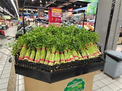 疫情阻销路，华润苏果解六合、高淳菜农燃眉之急