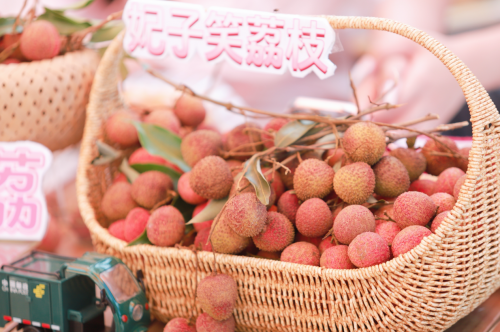 华润万家携手中国邮政寻味粤西，解锁乡村美好新篇章